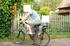 Alpine Bike Peak 4000S (2009)