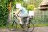 Alpine Bike Peak 4000S (2009)
