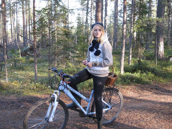 Украден велосипед Wels NWS Mira (2014) в г. Санкт-Петербург