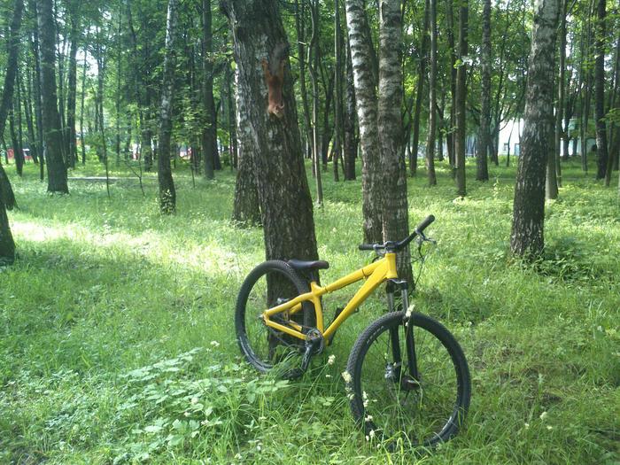 Украден велосипед Stels Scorpio (2006) в г. Тула