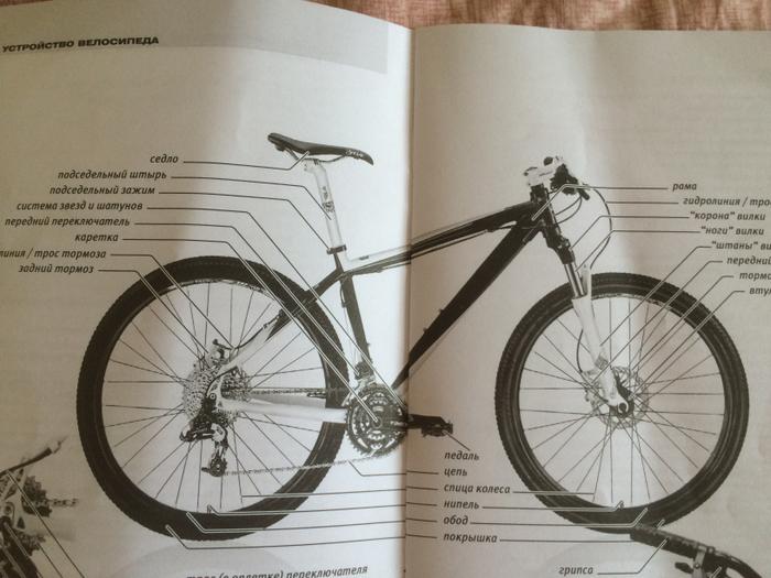 Украден велосипед Larsen Rapido 17" (2013) в г. Тольятти