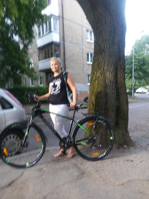 Украден велосипед Giant Roam 3 disk (2017) в г. Калининград